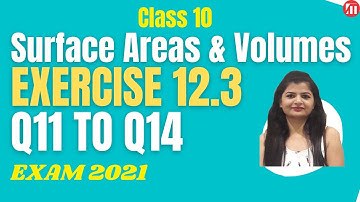 Ex 12.3 Q11 to Q14 NCERT EXEMPLAR | Surface Areas & Volumes | Class 10 NCERT Maths | By Rashmi Ma