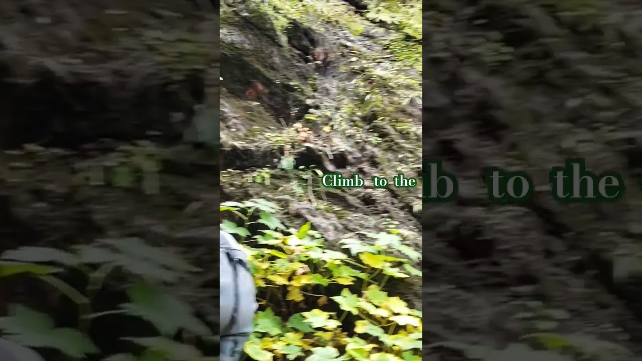 Waterfall Climb: To the #4 Abandoned mine in Washington State