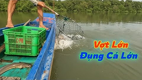 Giăng Câu Gần Bè Dính Cá Ngát To | Gia Đình Cần Giờ .166 |