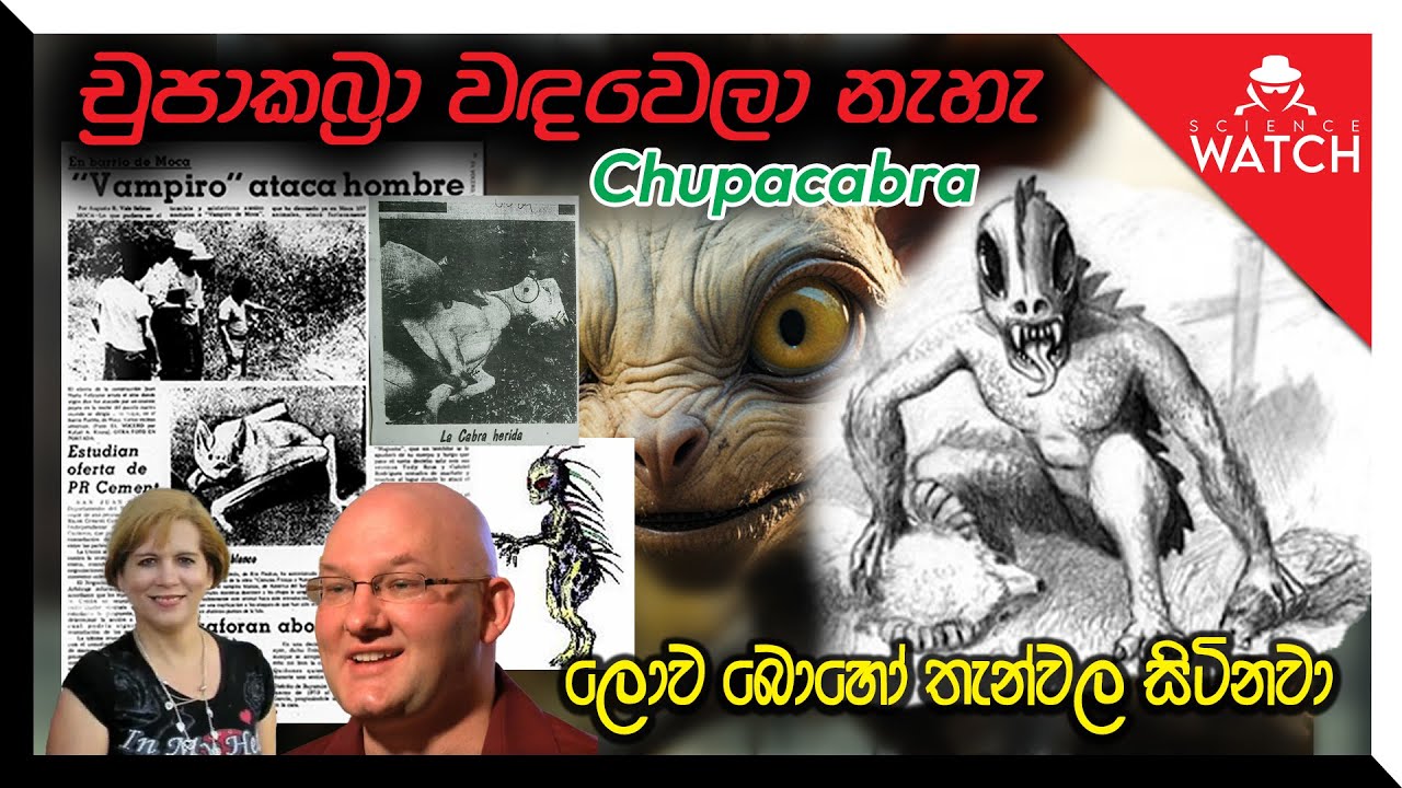 Chupacabra වඳවෙලා නැහැ. ලෝකයේ හැමතැනම ඉන්නවා