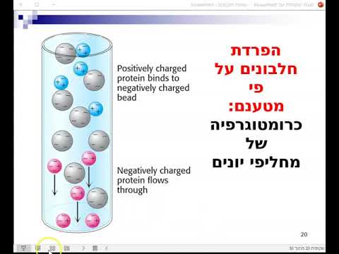 וִידֵאוֹ: בכרומטוגרפיה של חילופי יונים?