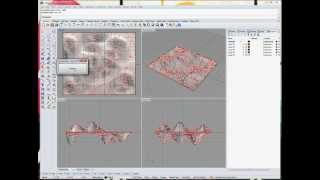 Evolutionary System Demo