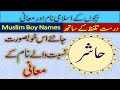 Hashir name meaning in urdu  name for muslim boy  ladkon k liye easy and beautiful islami naam