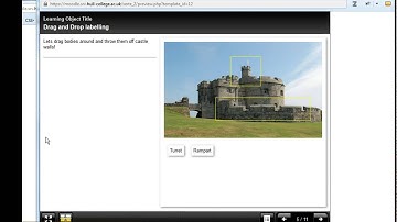 Interactivity with Xerte