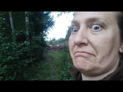 Video: Oliko ruoho vihreä?