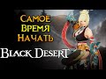 Стоит ли играть Black Desert Online в 2024 году