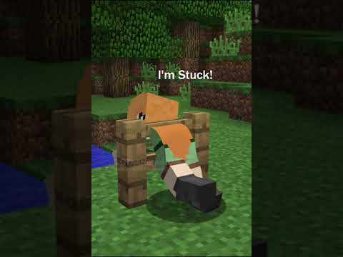 Steve? you gotta help me i'm stuck! (original video)
