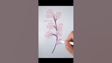 Easy watercolor Flowers in Procreate