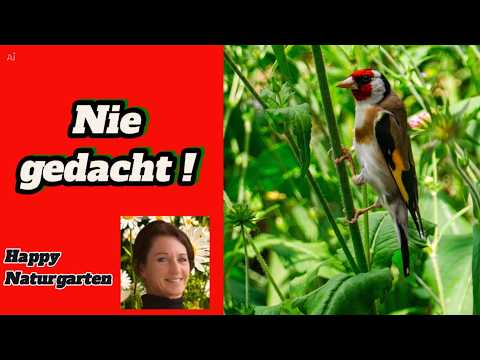 Naturgarten Ende Juli - Damit habe ich nicht gerechnet!