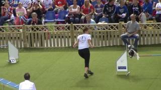 2014AWC Large Individual Agility