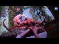 Virtual Visit: Aquarist Eye View of an Octopus Feeding!