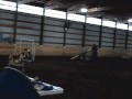 Ketch 'Im RAT ASCA agility