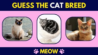 GUESS THE CAT BREED || CAT QUIZ GAME || POPULAR QUIZ screenshot 5