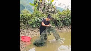 Download Lagu SINGLE MOM Full 45 days and night SURVIVAL Raise 3 POOR CHILD Catch Fish to cook in Rainy day MP3 Download Lagu SINGLE MOM Full 45 days and night SURVIVAL Raise 3 POOR CHILD Catch Fish to cook in Rainy day MP3