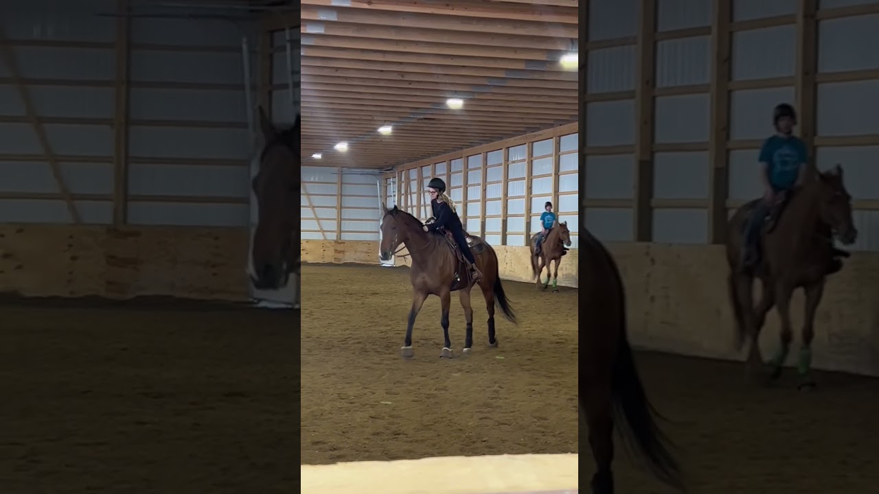 Always praise your horse!