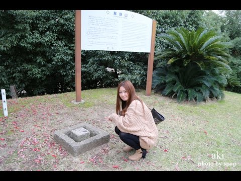 一等三角点のある日本一低い山 蘇鉄山 そてつやま 大阪 堺市 大浜公園 Youtube