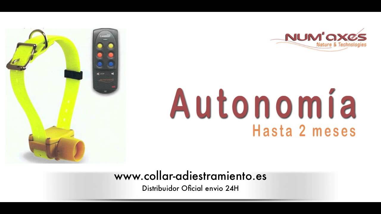 radio pro collar becada con mando localizador perros de - YouTube