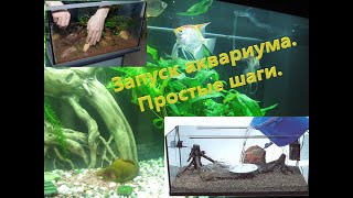 #запускаквариума #Launchingaquarium Запуск аквариума. Простые шаги.