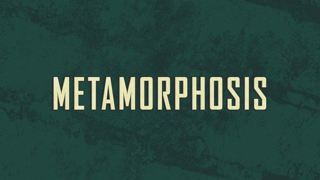 Metamorphosis Art Exhibit - YouTube