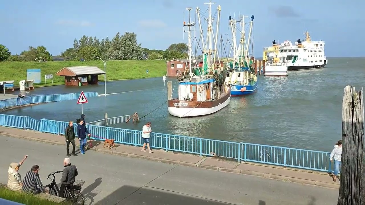Pellworm Hochwasser 23.08.2024