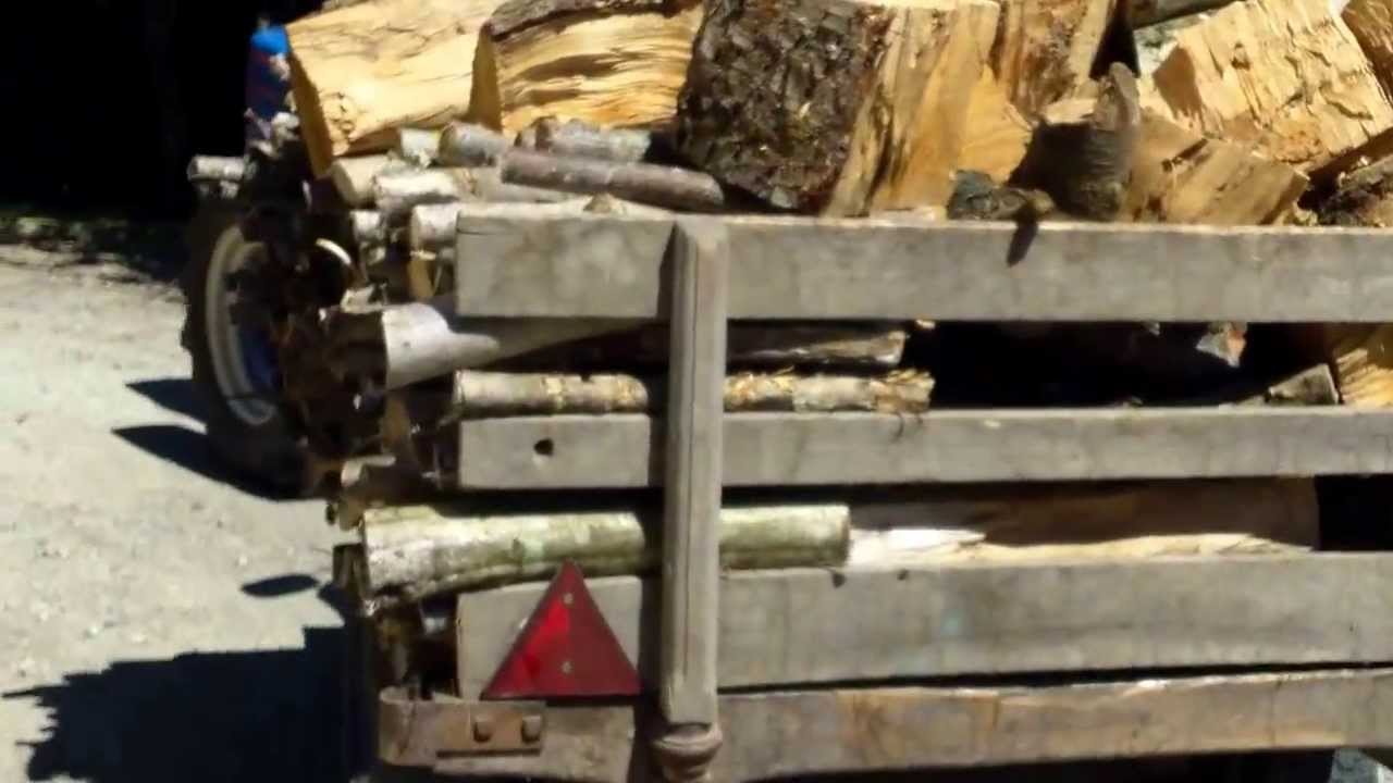 PP6 Staub rentre le bois pour l'hiver