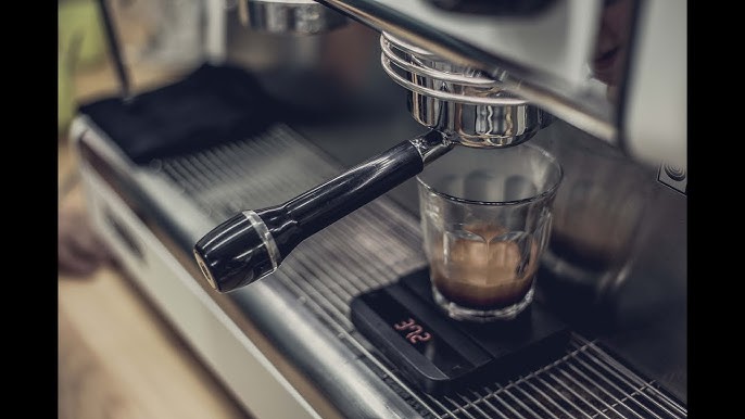 Sencillez y técnica a la hora de preparar un café con prensa