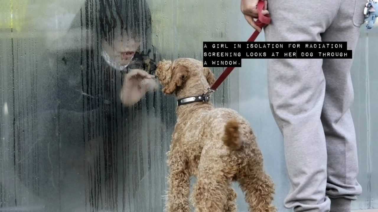 Les photos les plus poignantes de l\'histoire