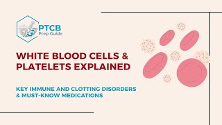 White Blood Cells & Platelets Explained for PTCB Exam | High-Yield Hematology Study Guide