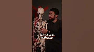 سبب الم منتصف الظهر و اسم العضلة و مكانها و وظيفتها و تشريحها و تأهيلها بعد الاصابة 