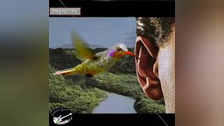 Download Lagu Prototype - I'm Sorry MP3