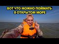 Ловим в АЗОВСКОМ МОРЕ. Я такую рыбу с берега не ловил.