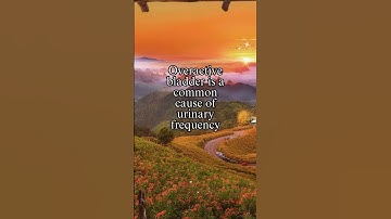 Overactive Bladder & Urinary Frequency #shorts