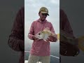 wildlife #troutfish #oceanlife