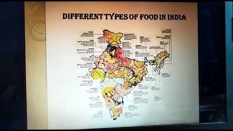 MLZS JHANSI CLASS 3 EVS Food and Balance Diet