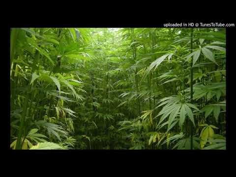 რისი საბუთები შეჩემისა, რა დავაშავე ♛