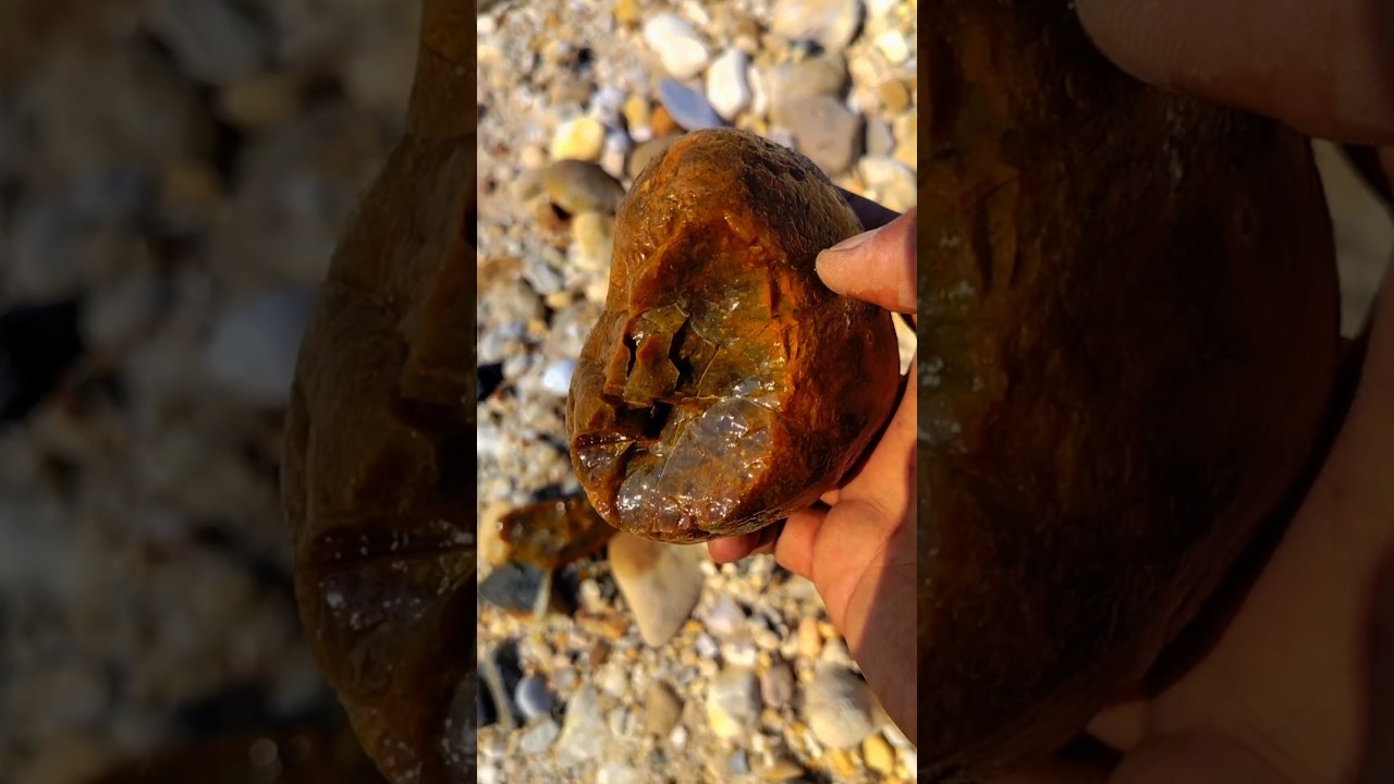 brown crystal coral stones 