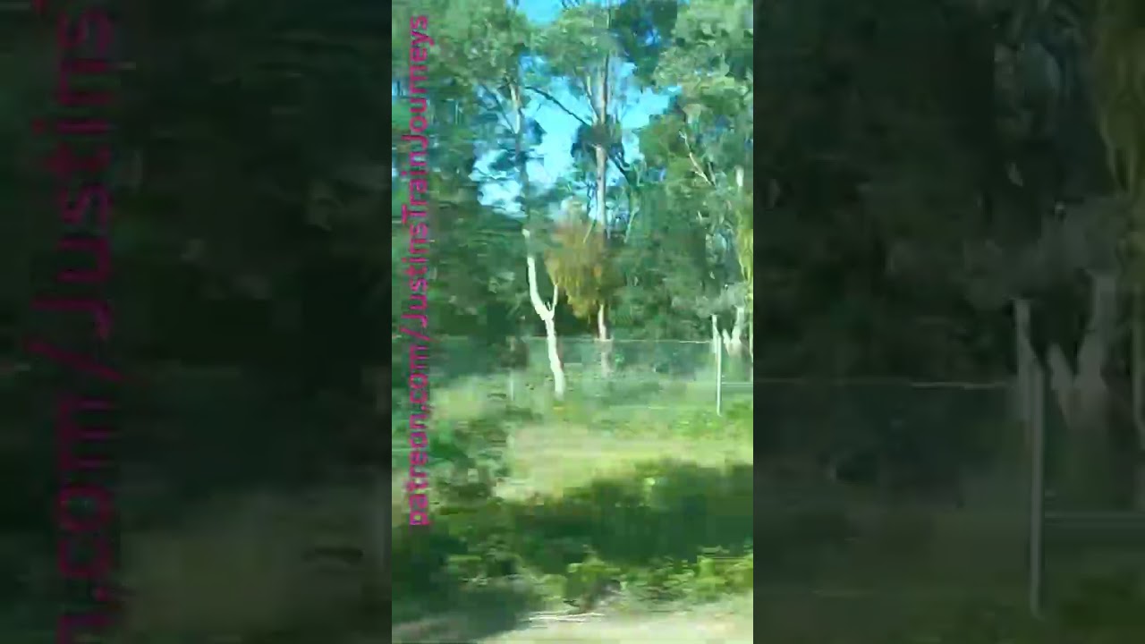 VLINE Southern Cross To Swan Hill 231225 #VLINE #TRAINS #TRAVEL #SHORTS #RAILFANS #RAILWAY #RAIL