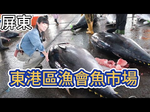 [黑鮪魚季] 上百隻黑鮪魚批發市場200公斤鮪魚切割秀,東港鮪魚拍賣會Bluefin tuna Sashimi, Cutting show #吉寶媽日常#黑鮪魚金三角#華僑市場#東港