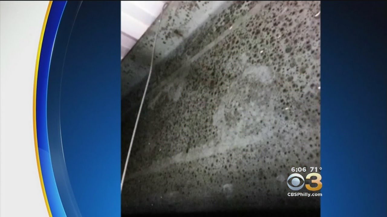 School District Closes All Schools For Remainder Of Week To Test For Mold