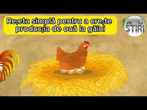 Video: 5 moduri de a crește găinile