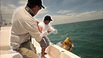 Où pêcher le mérou Goliath ?