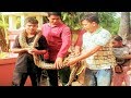 🐍🐍Big Python Catch By People  and Keep in Pagoda🐍🐍