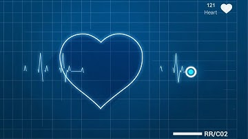 Animated Explainer Video - Privacy Analytics