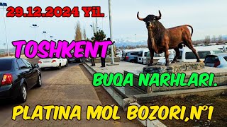 : Toshkent vil, Bostonliq tumani, Platina Chorva Mol Bozor,Buqa Narhlari.