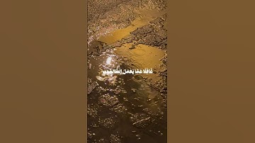 تلاوة من سورة ابراهيم للقارئ علي جابر #quran #حصن_المسلم #راحة_نفسية #آيات #الحمدلله