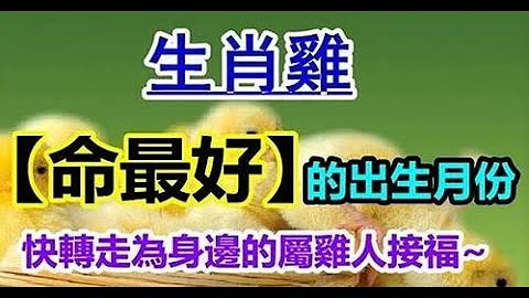 不同月不同命！生肖雞：哪個月的屬雞人「命最好」 你家有屬雞人嗎【人生感悟】 - 天天要聞