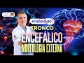 Tronco enceflico morfologia externa  ep 80