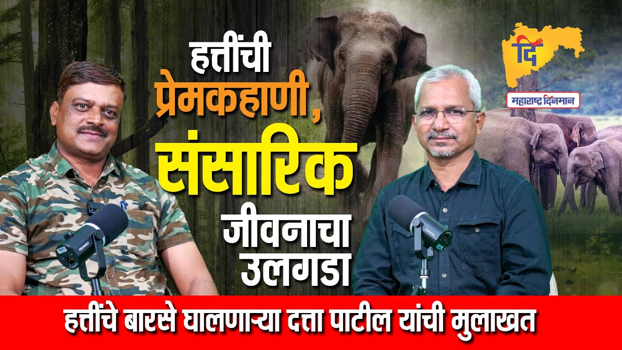 Elephant and Human Relations : हत्तींची प्रेमकहाणी, संसारिक जीवनाचा उलगडा: दत्ता पाटील यांची मुलाखत