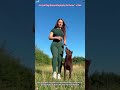 A Loyal Dog Always Staying by Its Owner’s Side #dog #guard #doggybestfriend #shortvideo #protection