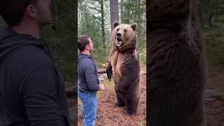 Bear Slap Champion